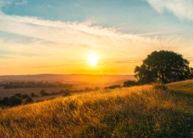 Farmland Agricultural Field at Ivinghoe Beacon, Buckinghamshire, UK